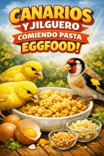 Easyyem Egg Food Canarios (Amarilla)